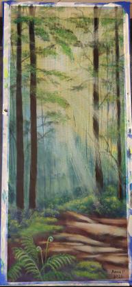 Sunlit Forest