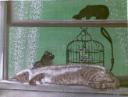 Anna's Painted Window Screens